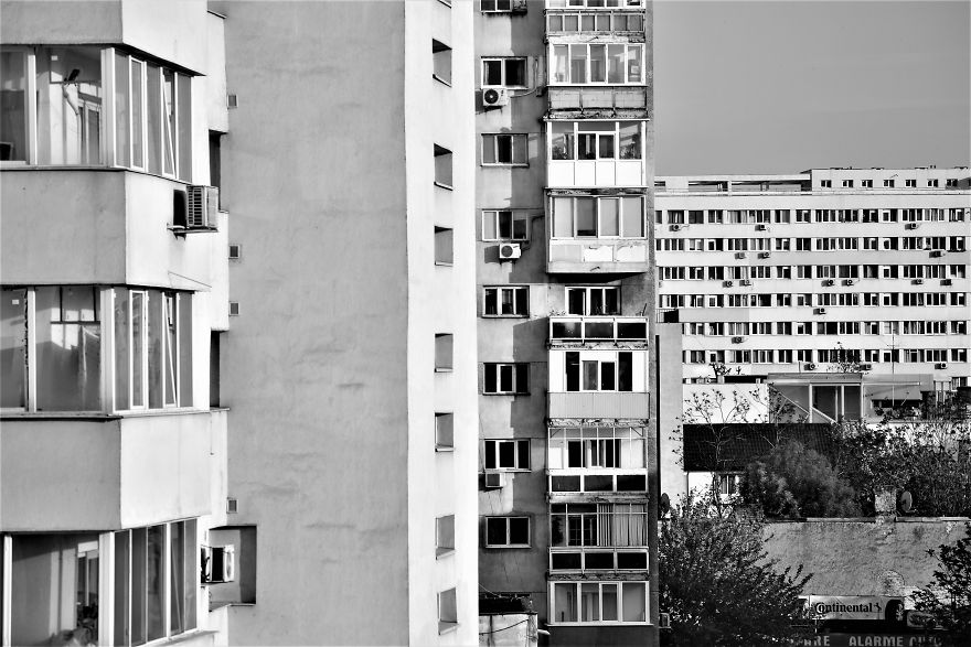 My Camera Is My Perfect Partner In Crime While Staying At Home. My Camera Is My Perfect Partner In Crime While Staying At Home.