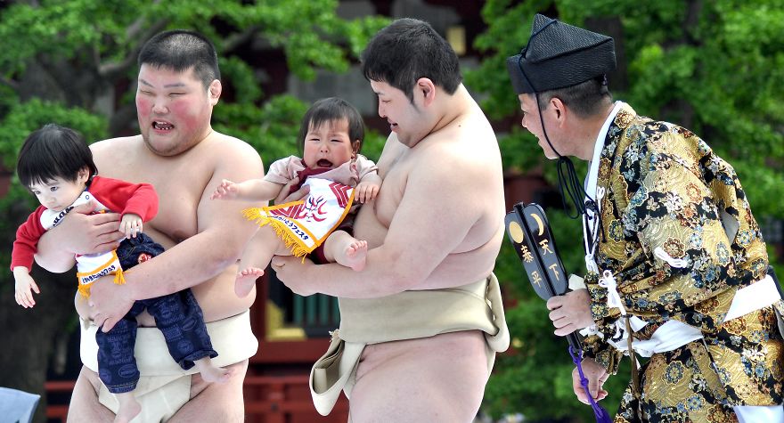 Sumo Wrestlers And Babies - Japanese Baby-Crying Sumo Festival Sumo Wrestlers And Babies - Japanese Baby-Crying Sumo Festival
