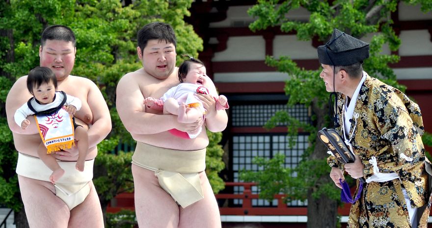 Sumo Wrestlers And Babies - Japanese Baby-Crying Sumo Festival Sumo Wrestlers And Babies - Japanese Baby-Crying Sumo Festival