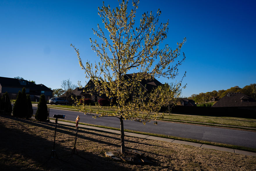 All My Events And Photoshoots Were Canceled, So I Did A Shoot With Barbie And Ken At Home All My Events And Photoshoots Were Canceled, So I Did A Shoot With Barbie And Ken At Home
