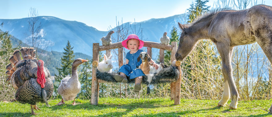 I Photograph Full Farm Portraits!