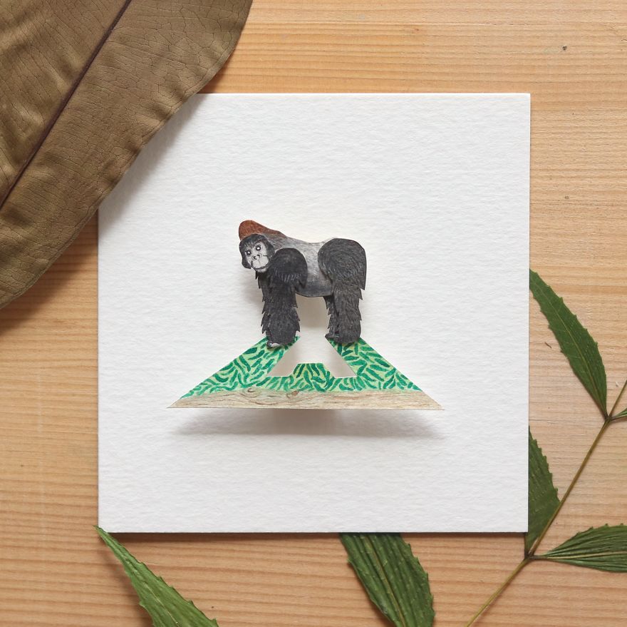 We Made An Alphabet Out Of Endangered Wildlife Species (34 Pics)