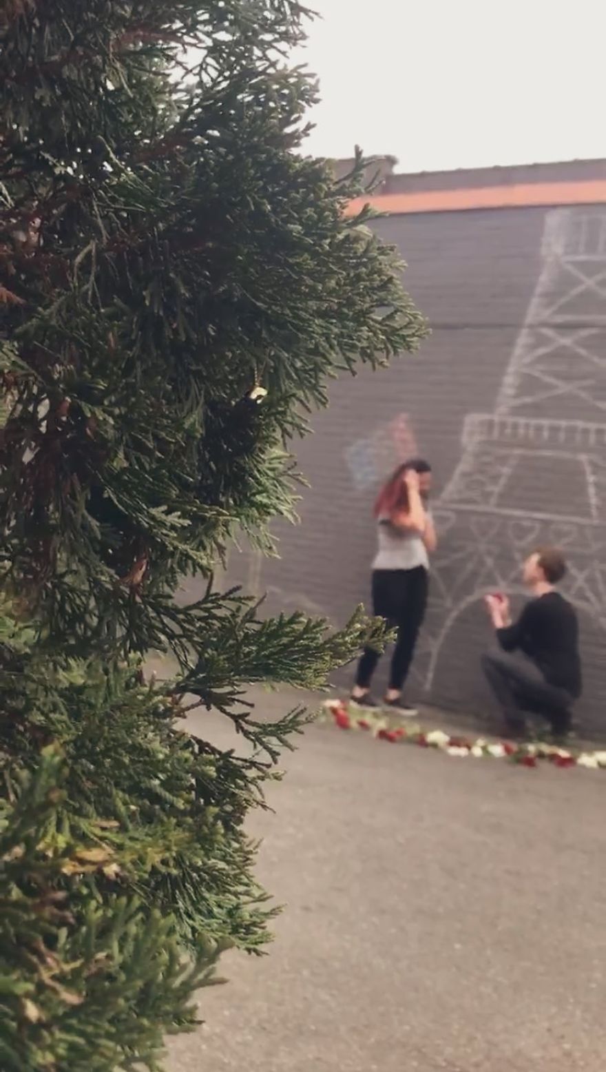 Man Brings Paris To Virginia By Proposing In Front Of A Makeshift Eiffel Tower Man Brings Paris To Virginia By Proposing In Front Of A Makeshift Eiffel Tower