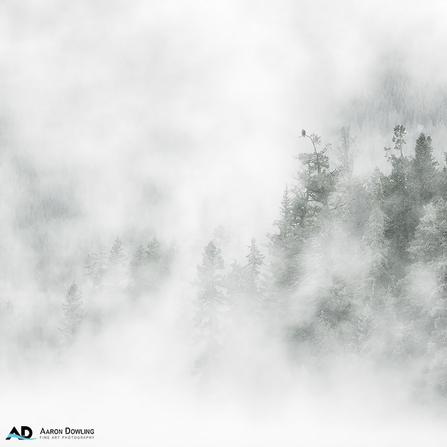 Isolation In Nature (Reflecting Our Lives Today) Isolation In Nature (Reflecting Our Lives Today)