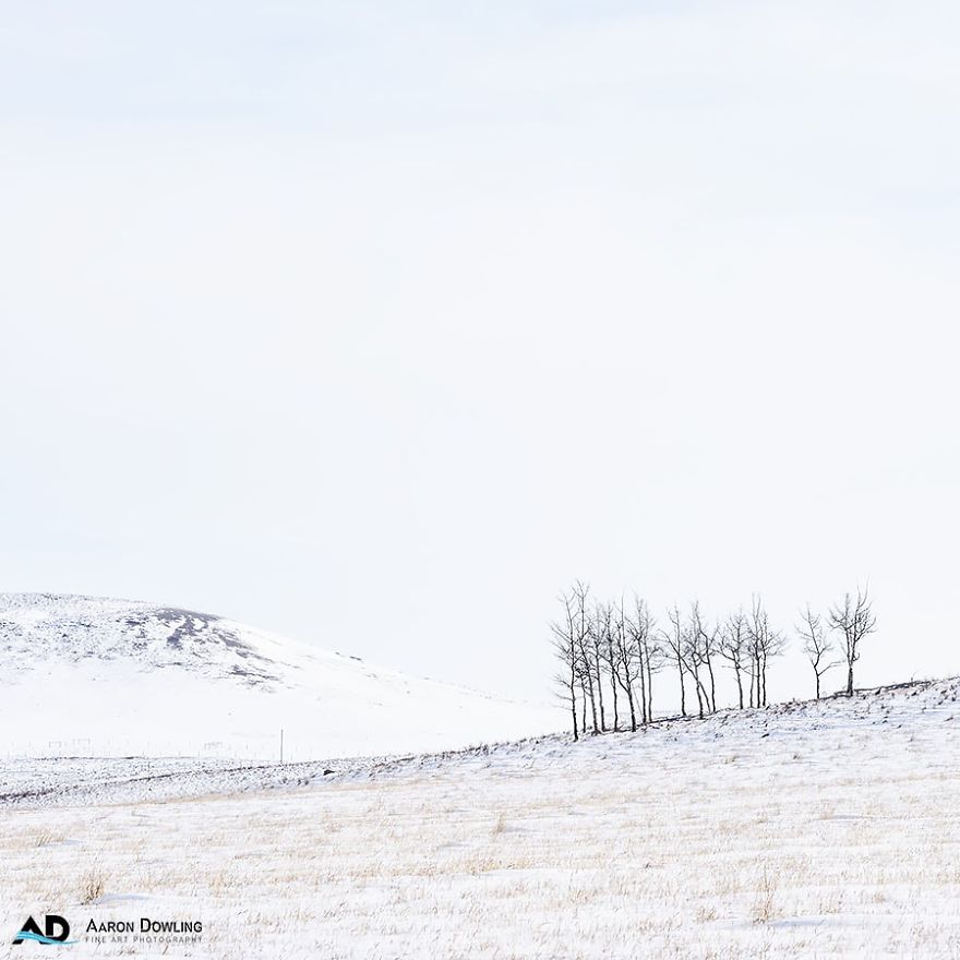 Isolation In Nature (Reflecting Our Lives Today)