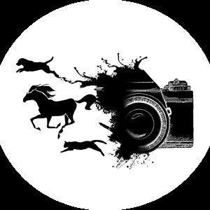 bethphotographyinfo avatar