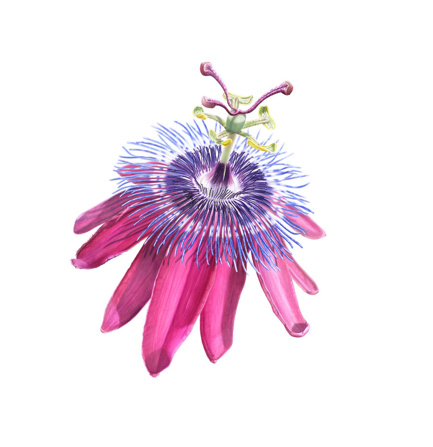 I Paint Crazy Alien Flowers In Watercolor I Paint Crazy Alien Flowers In Watercolor