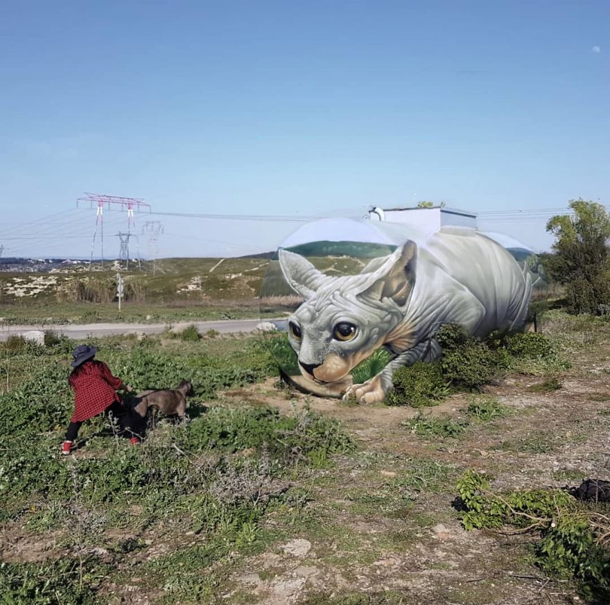Street Artist Paints A Mind-Bending Illusion Of A Sphynx Cat On An Old Gas Tank