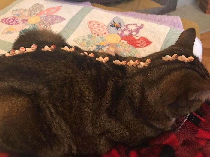 Attack Of The Babies . 75 Cents For All , San Francisco Yard Sale