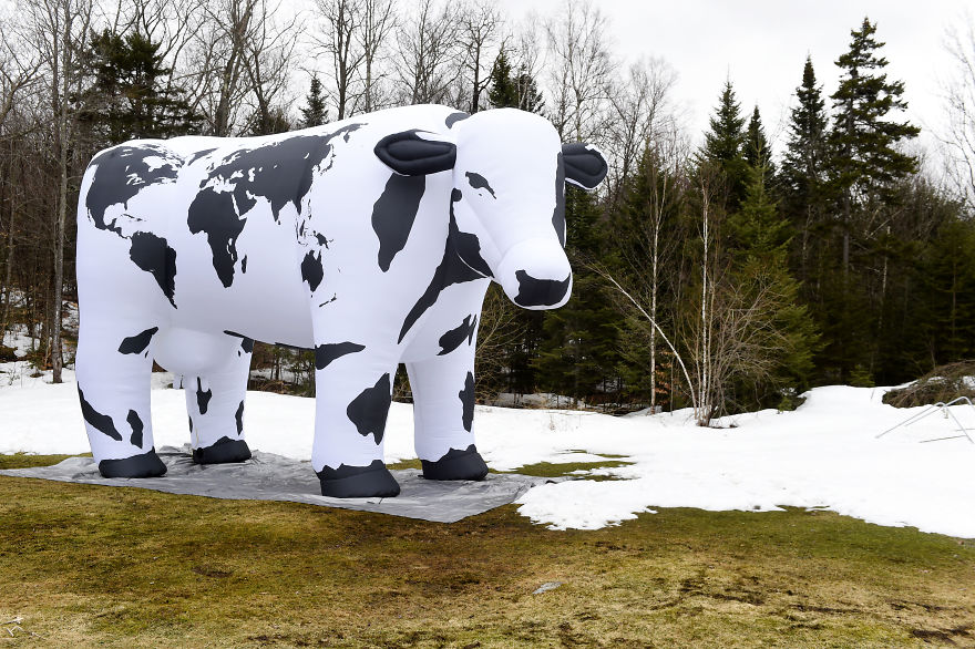 I Made A Giant Cow For The World