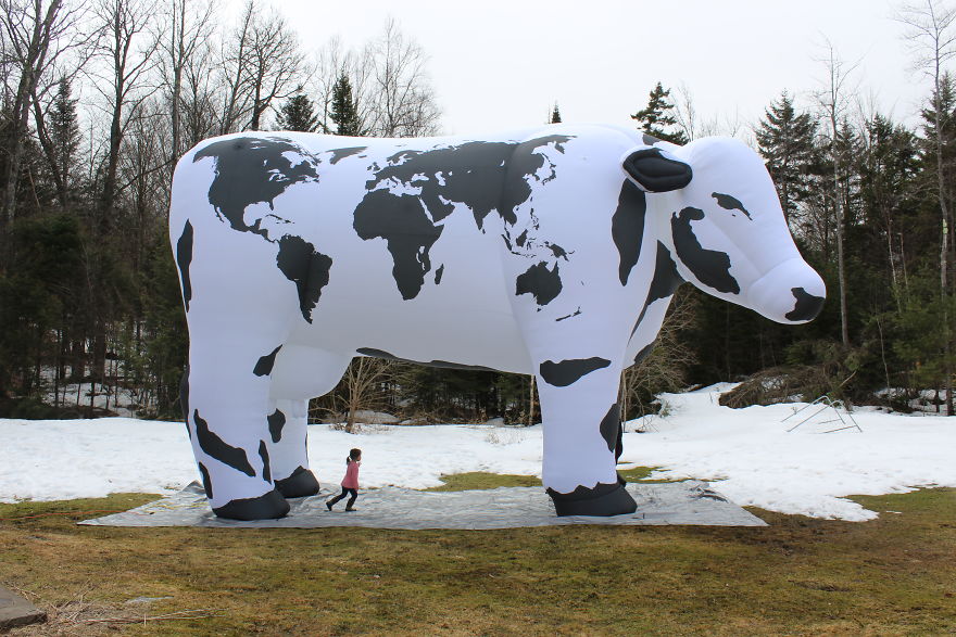 I Made A Giant Cow For The World