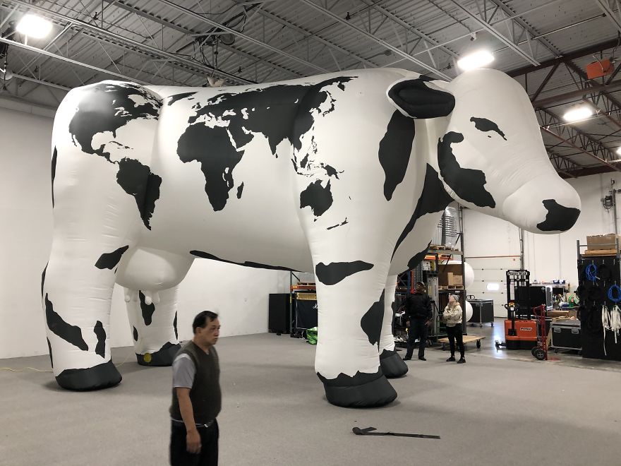 I Made A Giant Cow For The World