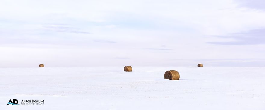 Isolation In Nature (Reflecting Our Lives Today) Isolation In Nature (Reflecting Our Lives Today)