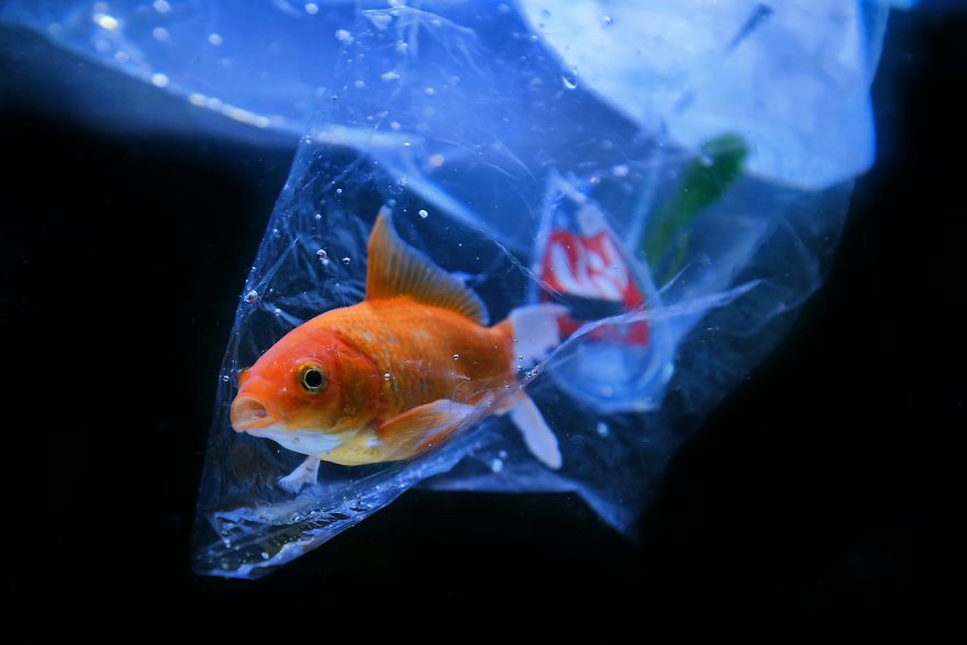 Help Me, I'm Trapped