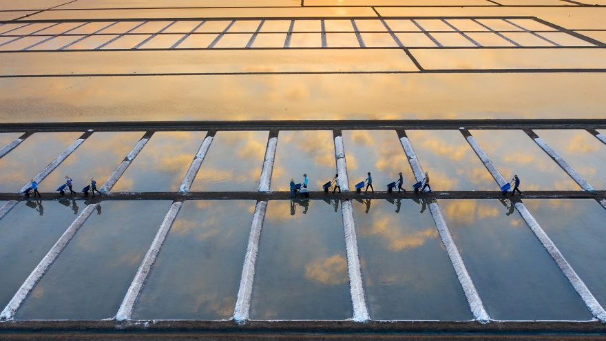 Working On The Salt Field