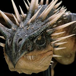 katerochford510 avatar