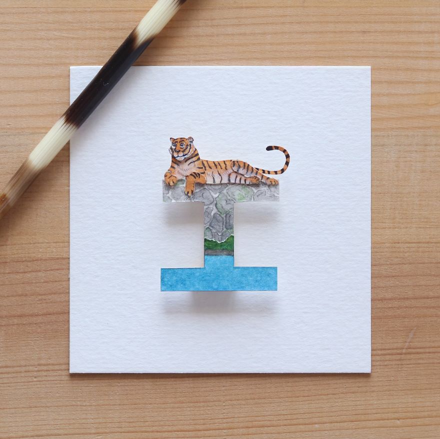 We Made An Alphabet Out Of Endangered Wildlife Species (34 Pics)