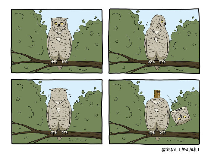 Owl comic with dark humor showing the owl’s head detaching from its body on a tree branch.