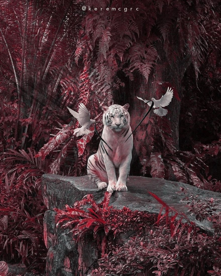 I Am 19 Years Old. I Transform My Dreams Into Creative Designs (25 Artwork)