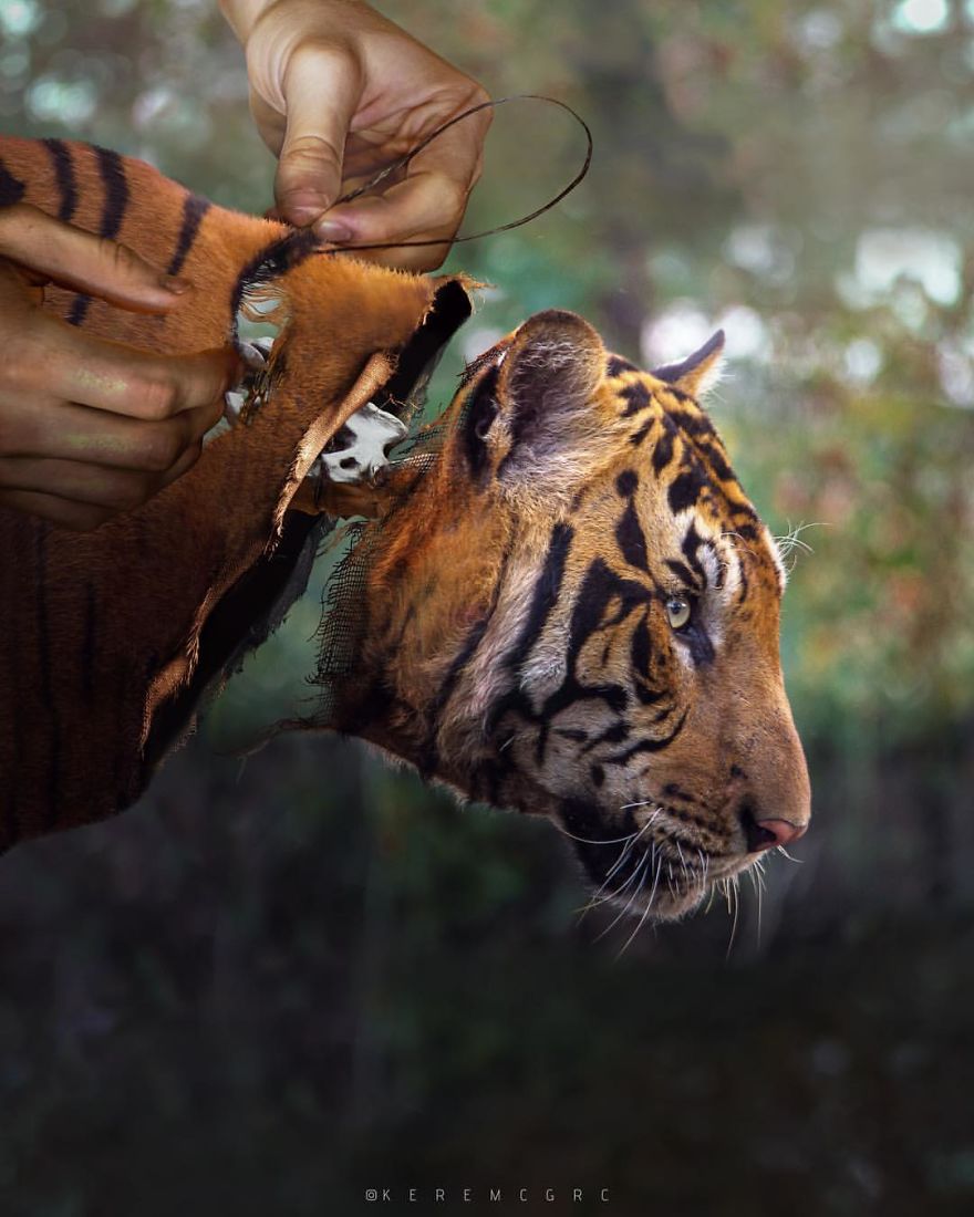 I Am 19 Years Old. I Transform My Dreams Into Creative Designs (25 Artwork)