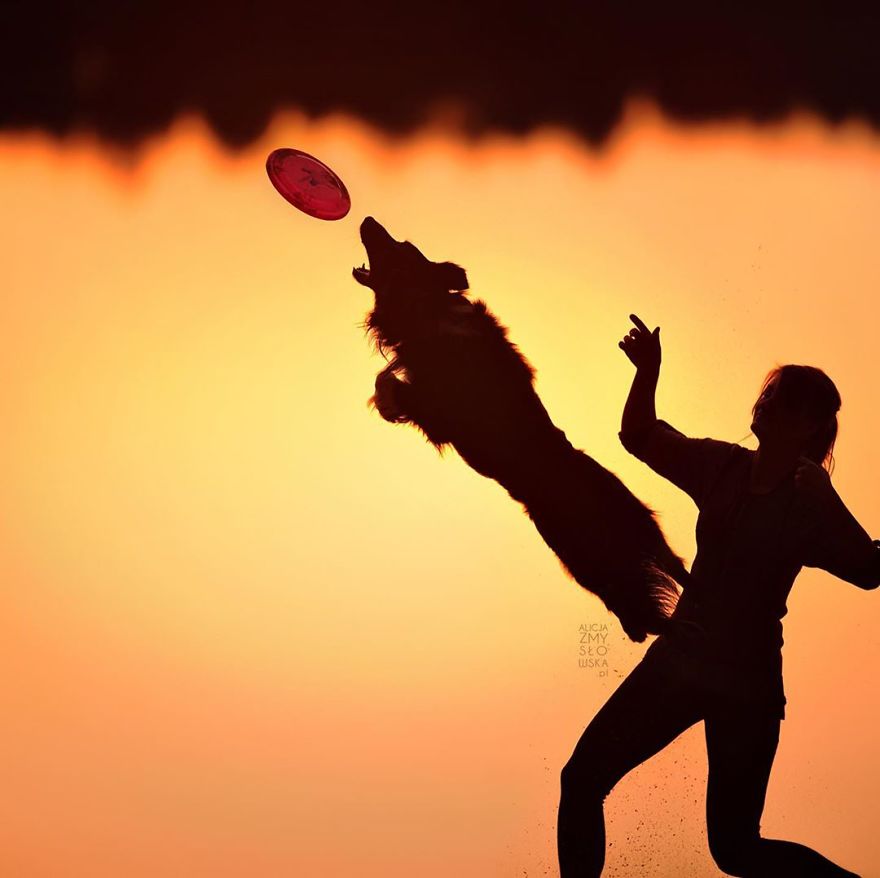 I Came Back With More Heartwarming Dog Portraits That Will Make You Smile