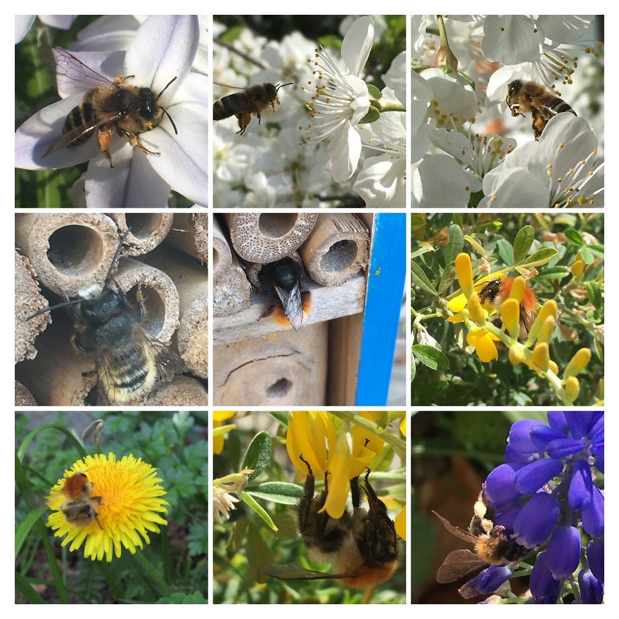 I Go On With To My Own Nature (Inspired) iPhone Photo-Challenge To Cope With Crises (New Pics)