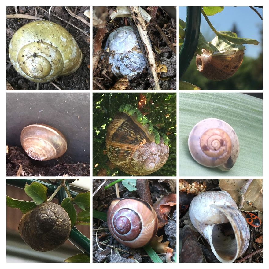 I Go On With To My Own Nature (Inspired) iPhone Photo-Challenge To Cope With Crises (New Pics)