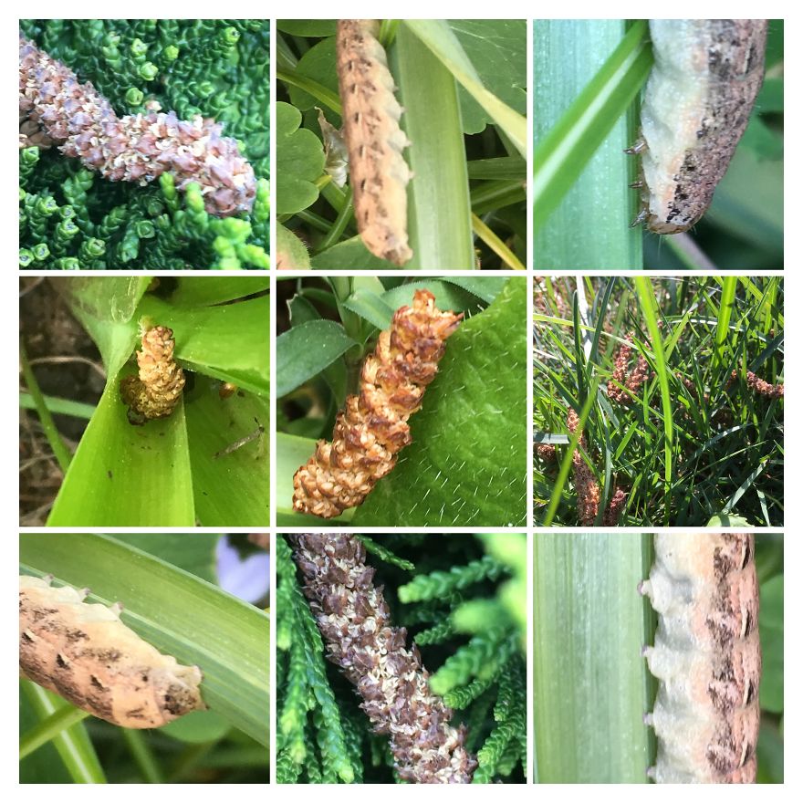 I Go On With To My Own Nature (Inspired) iPhone Photo-Challenge To Cope With Crises (New Pics)