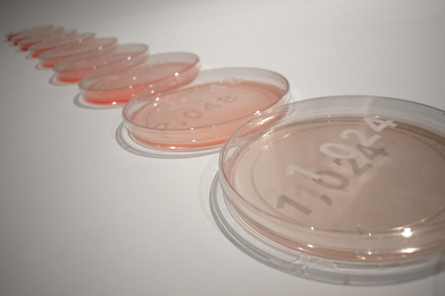 I Made Covid-19 Art In Quarantine Using Only The Materials Available In My Studio. I Made Covid-19 Art In Quarantine Using Only The Materials Available In My Studio.