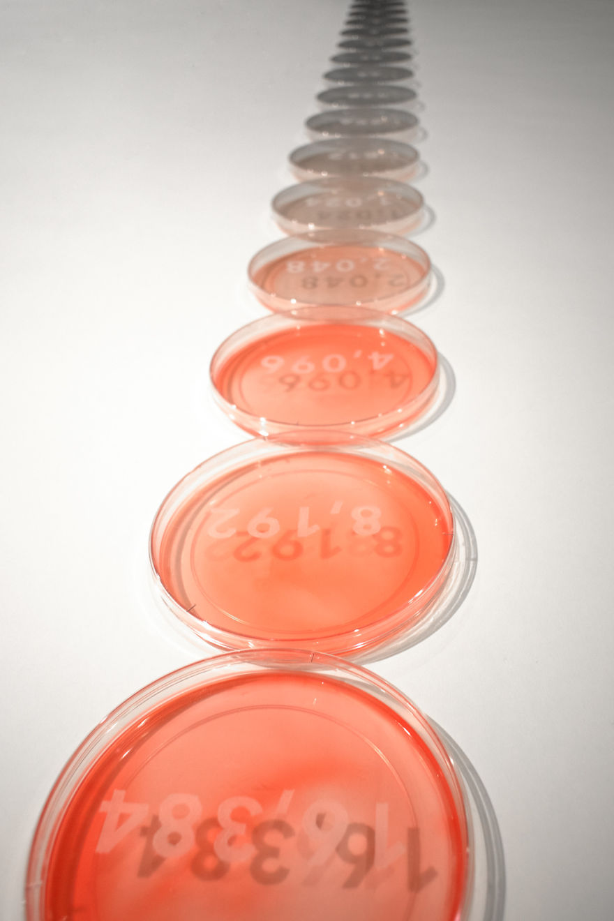 I Made Covid-19 Art In Quarantine Using Only The Materials Available In My Studio. I Made Covid-19 Art In Quarantine Using Only The Materials Available In My Studio.