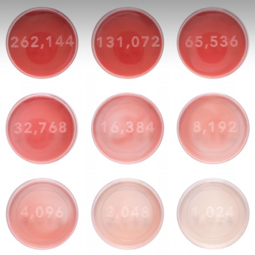 I Made Covid-19 Art In Quarantine Using Only The Materials Available In My Studio. I Made Covid-19 Art In Quarantine Using Only The Materials Available In My Studio.