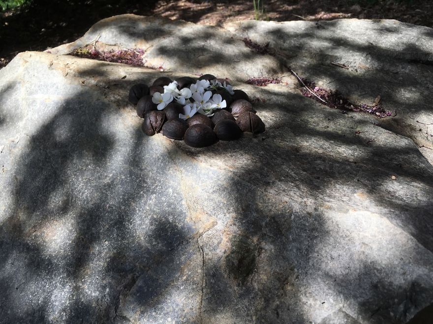 I Made These Art Pieces Out Of Art From My Backyard (Add Your Own!)