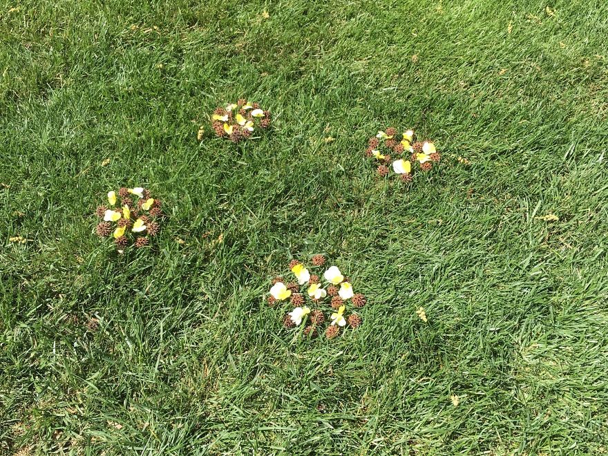 I Made These Art Pieces Out Of Art From My Backyard (Add Your Own!)