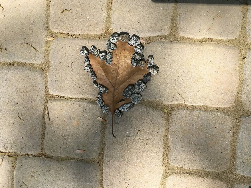 I Made These Art Pieces Out Of Art From My Backyard (Add Your Own!)