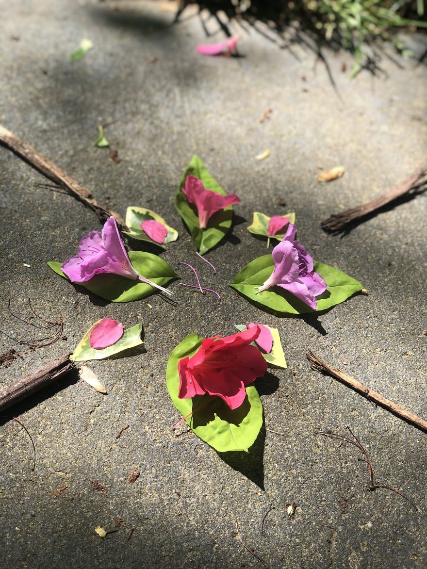 I Made These Art Pieces Out Of Art From My Backyard (Add Your Own!)