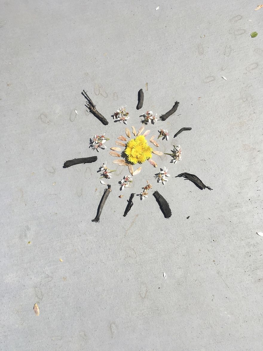 I Made These Art Pieces Out Of Art From My Backyard (Add Your Own!)