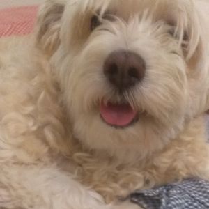 paty_claudia_silva avatar