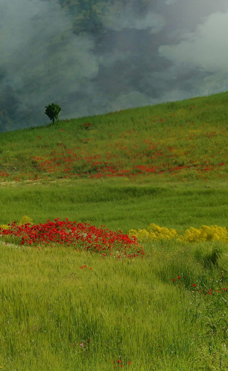 Photographer's Love For Nature Inspires Him To Captures Nature's Magical Moments
