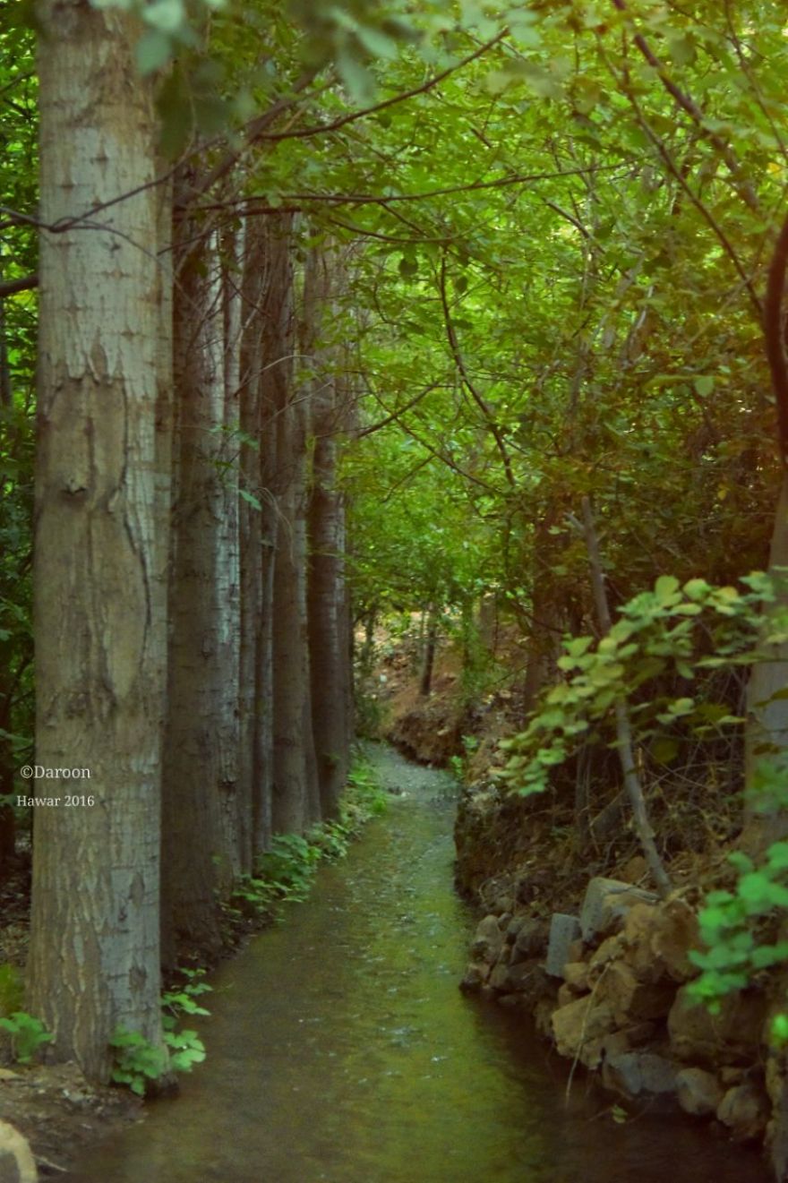 Photographer's Love For Nature Inspires Him To Captures Nature's Magical Moments