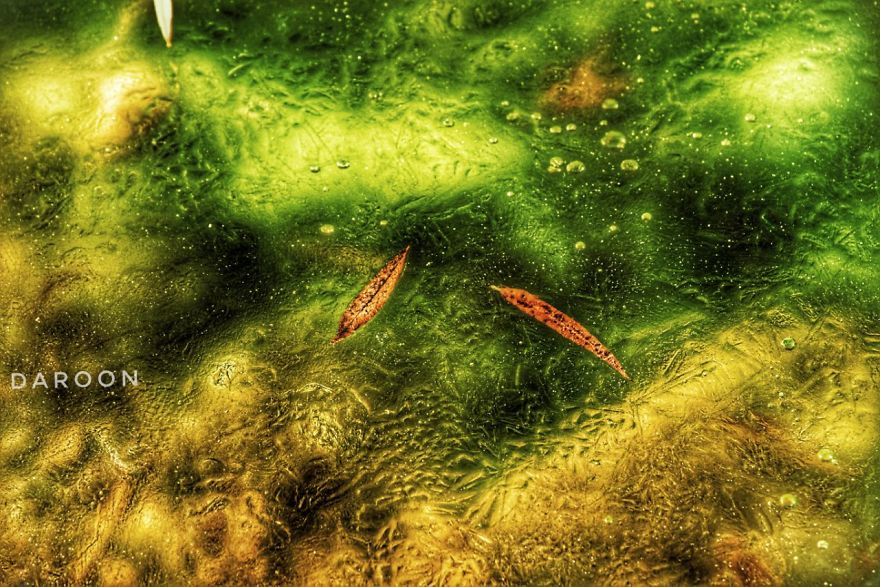 Photographer's Love For Nature Inspires Him To Captures Nature's Magical Moments