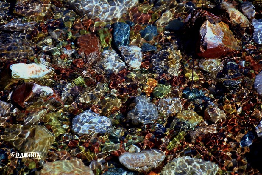 Photographer's Love For Nature Inspires Him To Captures Nature's Magical Moments