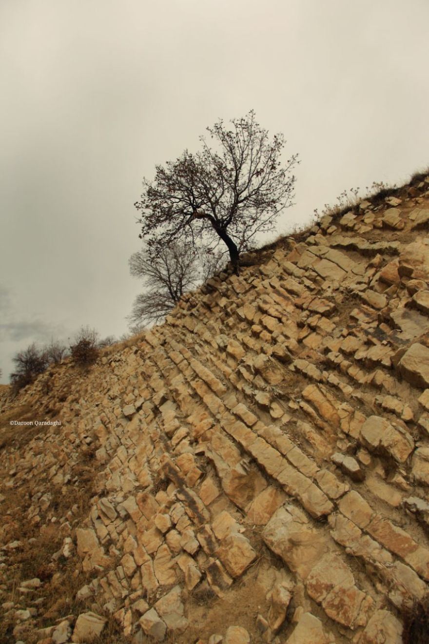 Photographer's Love For Nature Inspires Him To Captures Nature's Magical Moments