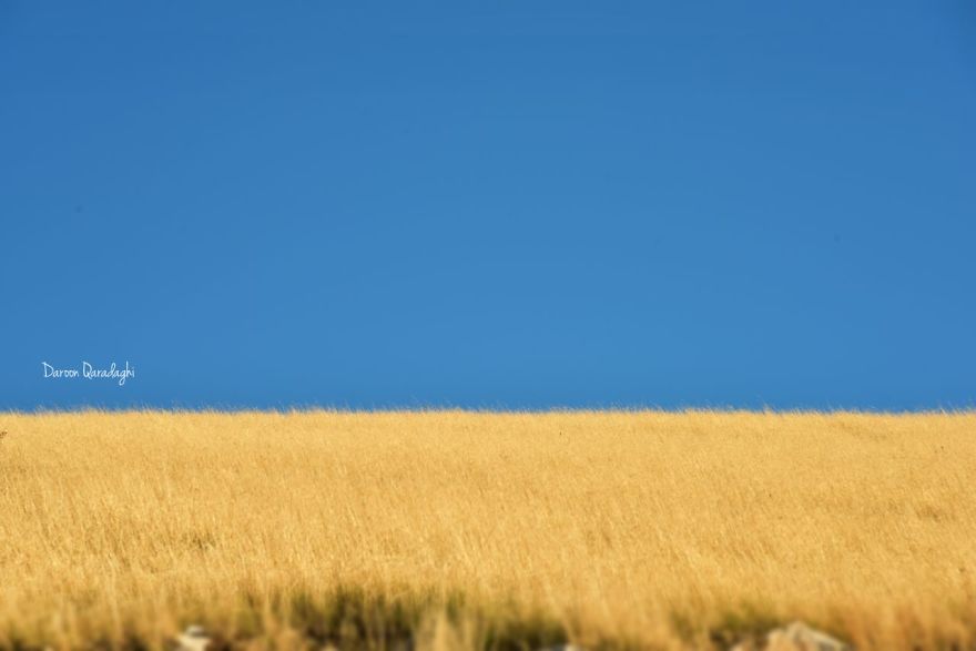 Photographer's Love For Nature Inspires Him To Captures Nature's Magical Moments