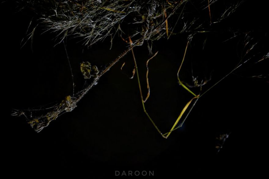 Photographer's Love For Nature Inspires Him To Captures Nature's Magical Moments