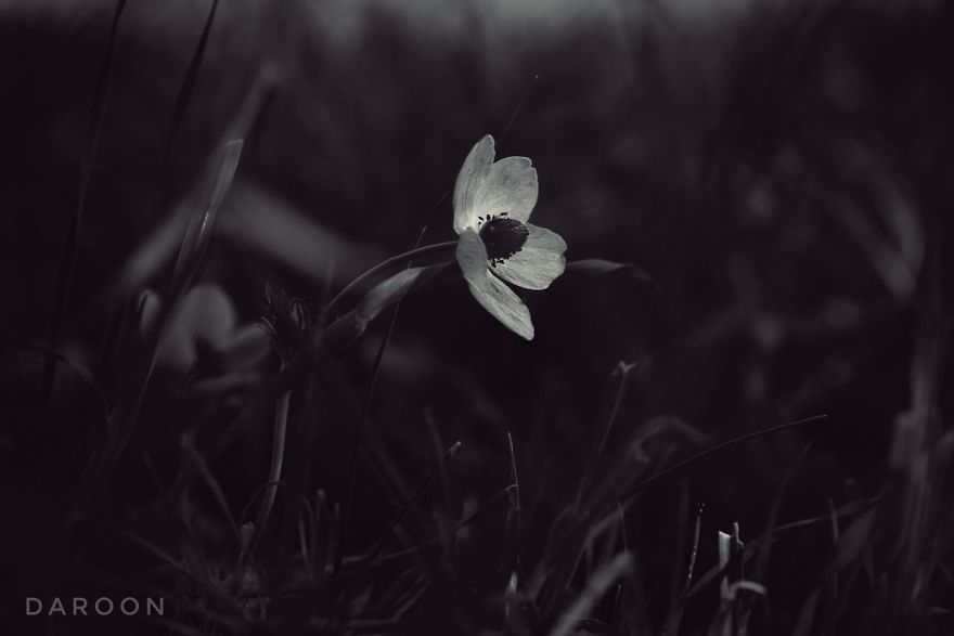 Photographer's Love For Nature Inspires Him To Captures Nature's Magical Moments