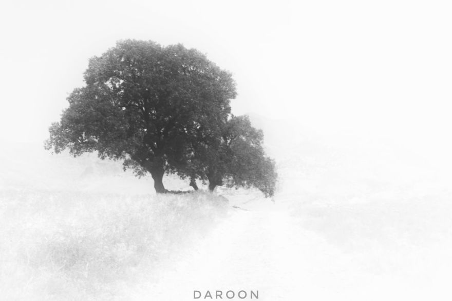 Photographer's Love For Nature Inspires Him To Captures Nature's Magical Moments