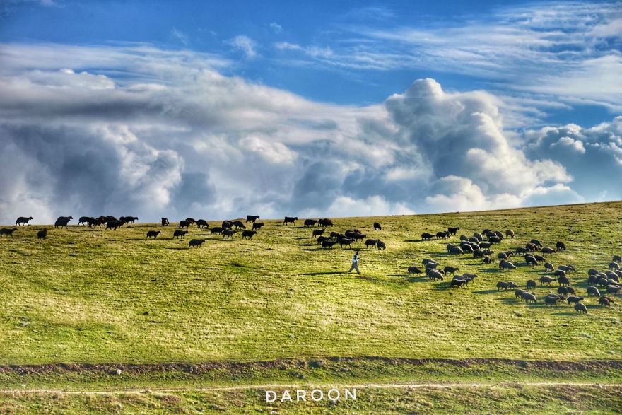 Photographer's Love For Nature Inspires Him To Captures Nature's Magical Moments