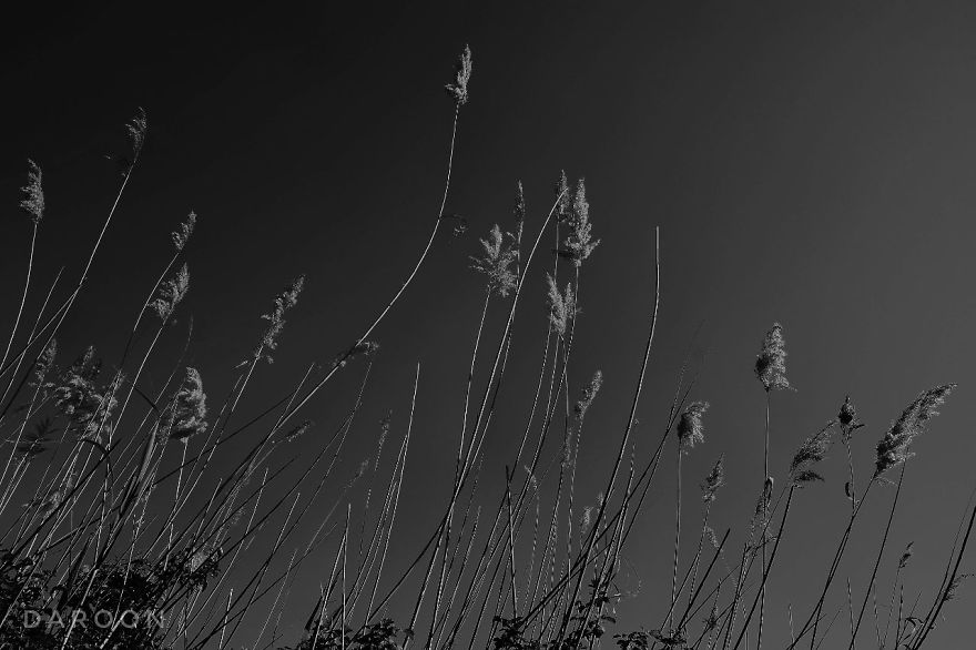 Photographer's Love For Nature Inspires Him To Captures Nature's Magical Moments