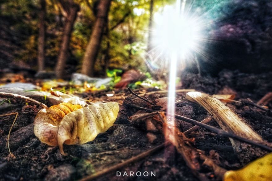 Photographer's Love For Nature Inspires Him To Captures Nature's Magical Moments