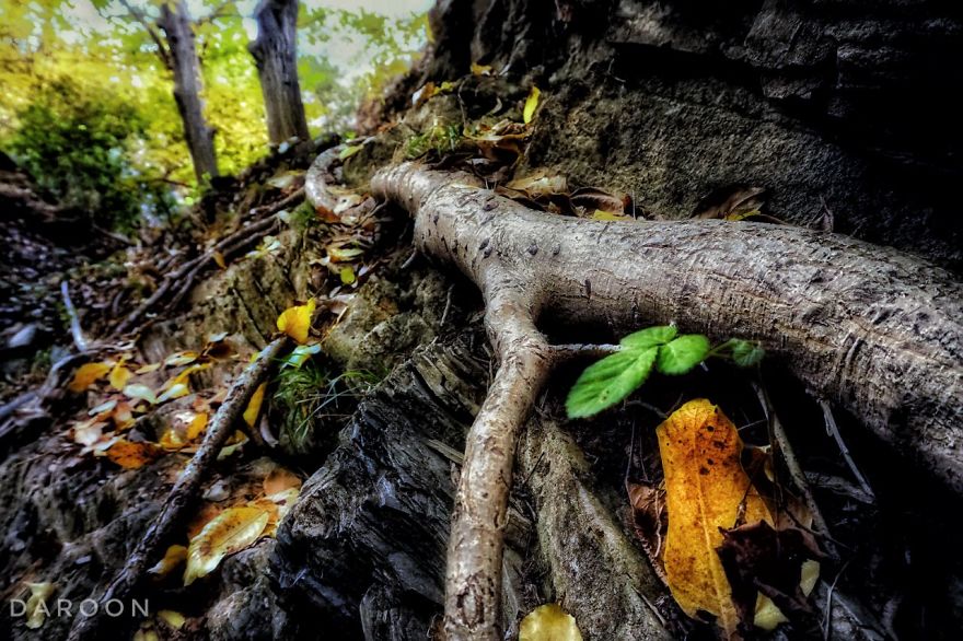 Photographer's Love For Nature Inspires Him To Captures Nature's Magical Moments